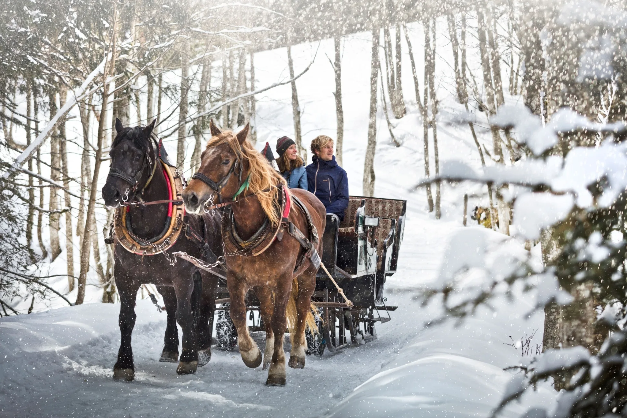 2516 Pferdeschlittenfahrt