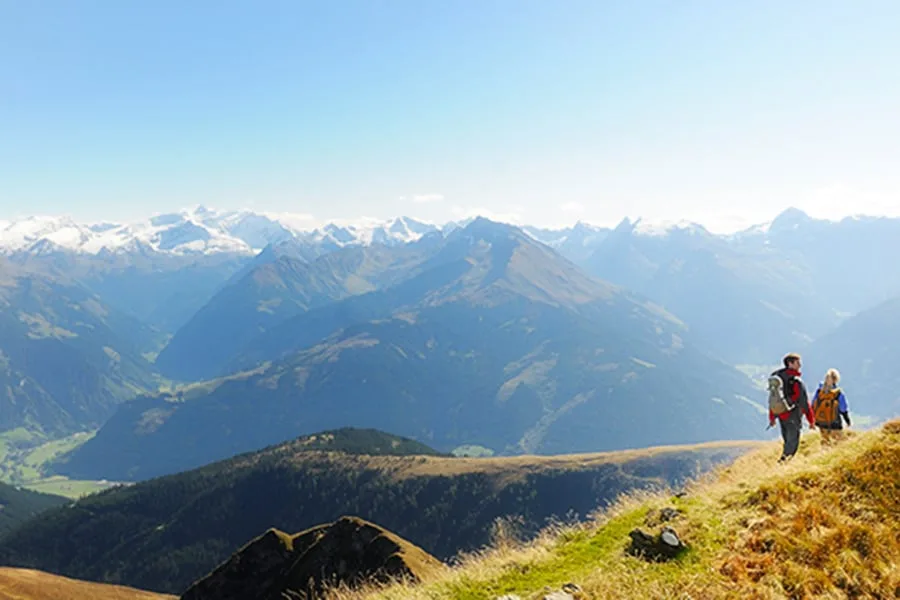 2960 Paar wandert händchenhaltend über WIese