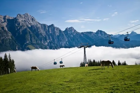 Asitzbahn Saalbach Asitzbahn Saalbach über Wiese mit Haflingern