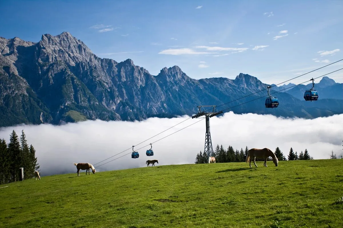 2939 Asitzbahn Saalbach über Wiese mit Haflingern
