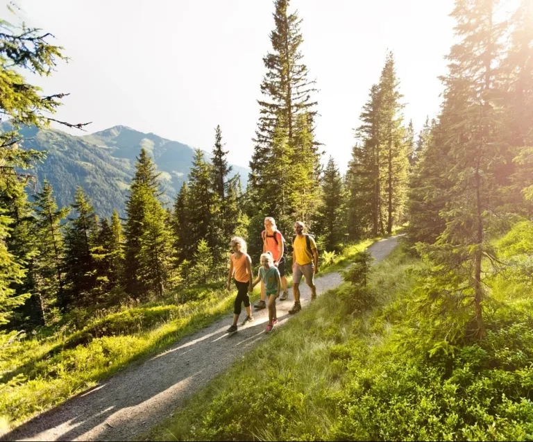 Bergsommer mit der ganzen Familie Familie geht wandern in den Bergen
