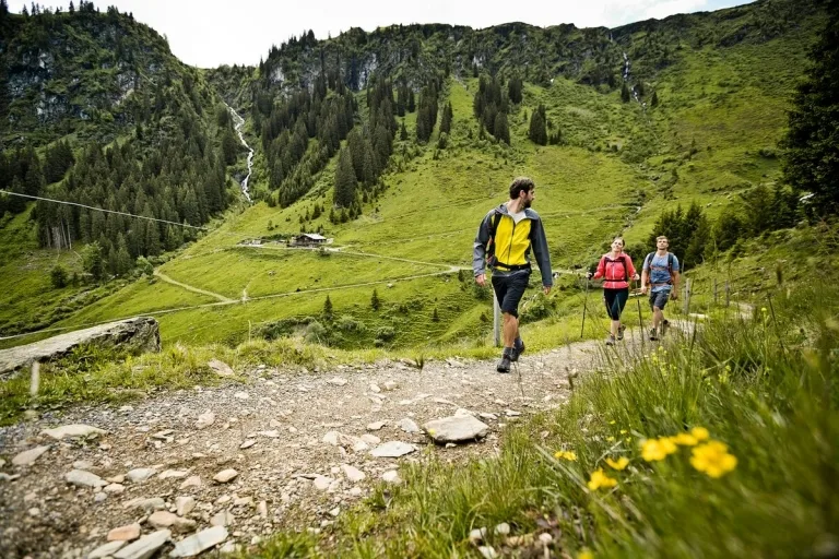 Wandersommer in Saalbach 3 Leute beim Wandern auf Steinweg in grüner Landschaft