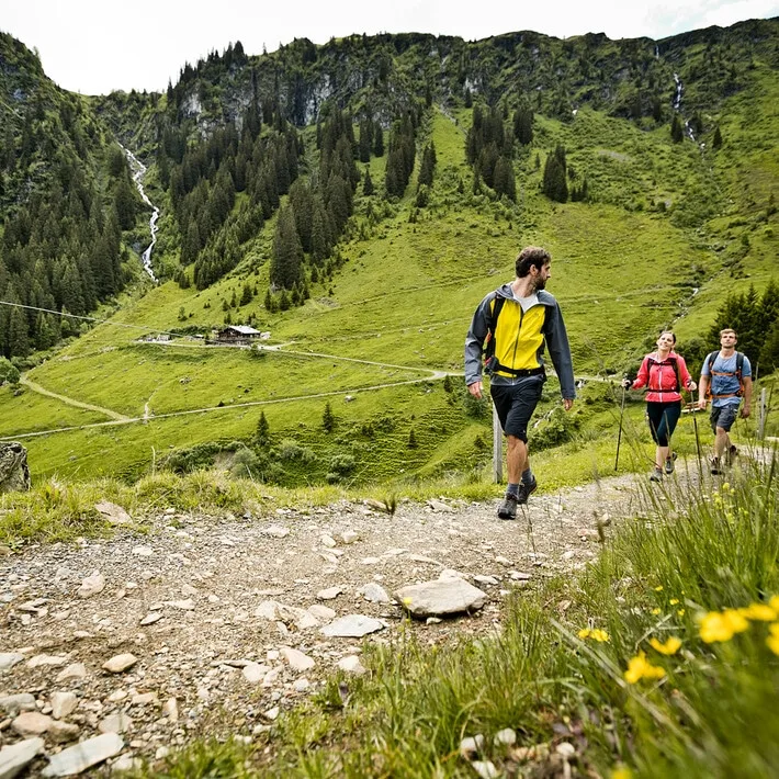 Wandern im Sommer 3 Leute Wandern auf Weg im Sommer