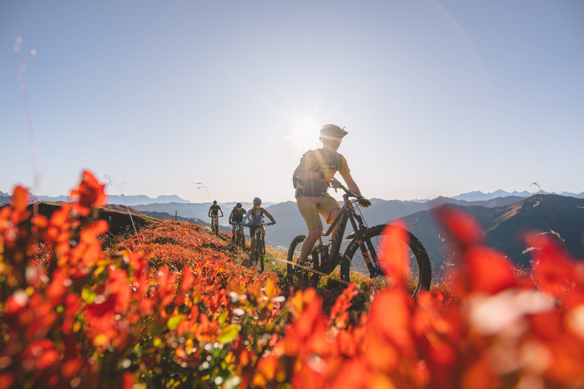 Bike-Guiding über Wiese mit roten Blumen