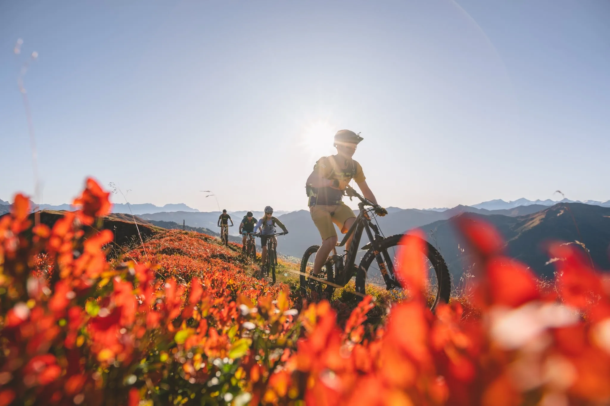 Glemmguides Hinterglemm Bike-Guiding Bike-Guiding über Wiese mit roten Blumen