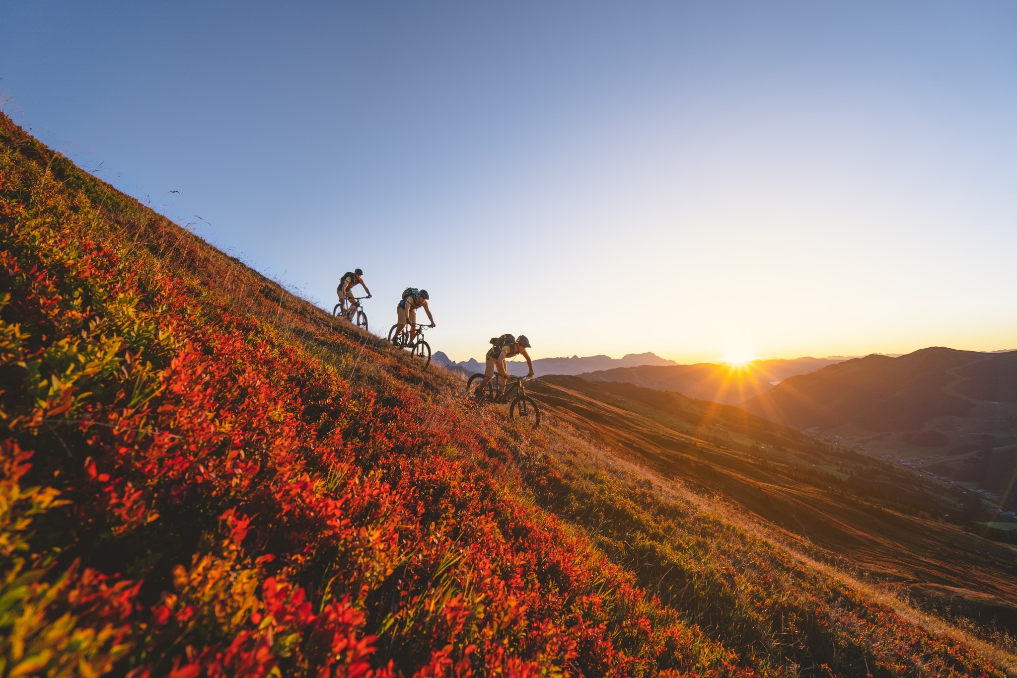 3 Mountainbiker fahren bei Dämmerung über Wiese mit roten Blumen