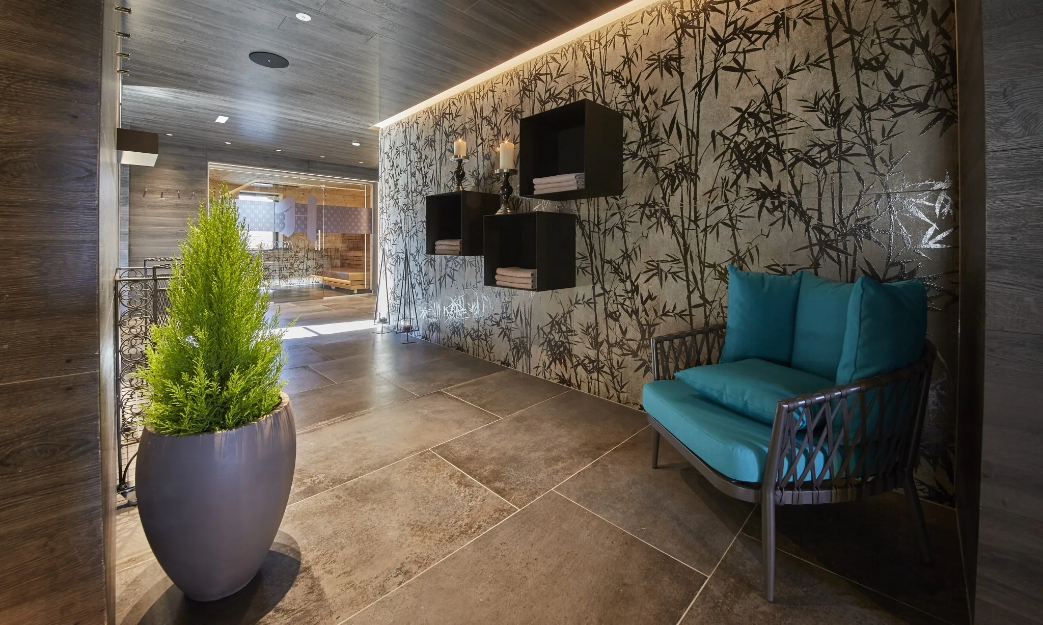 5785 Ein Stuhl und eine Pflanze in der Rooftop Relax Area