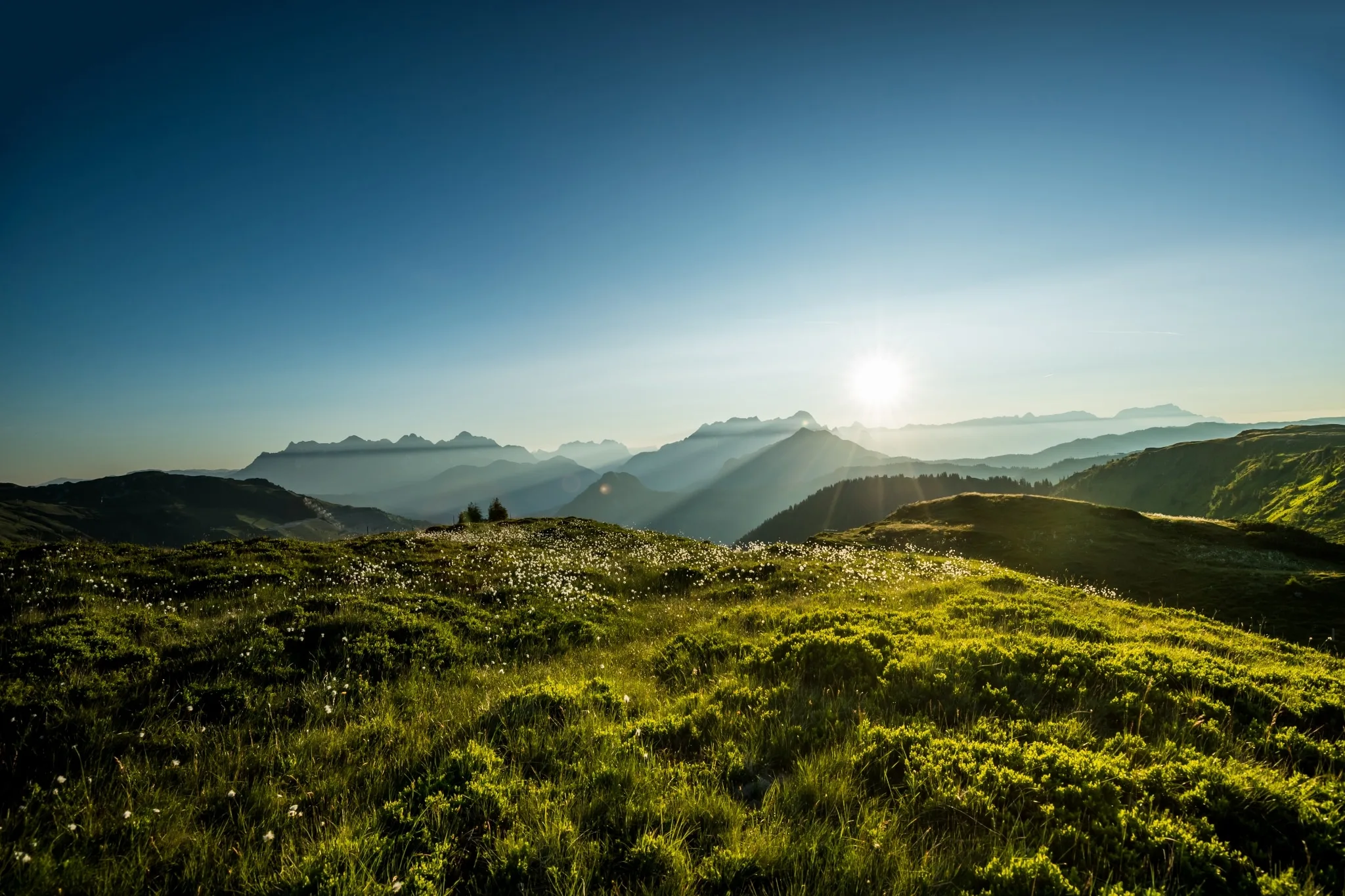 Berglandschaft in Saalbach Hinterglemm Im Vordergrund eine saftig-grüne Almwiese und im Hintergrund die Salzburger Bergwelt