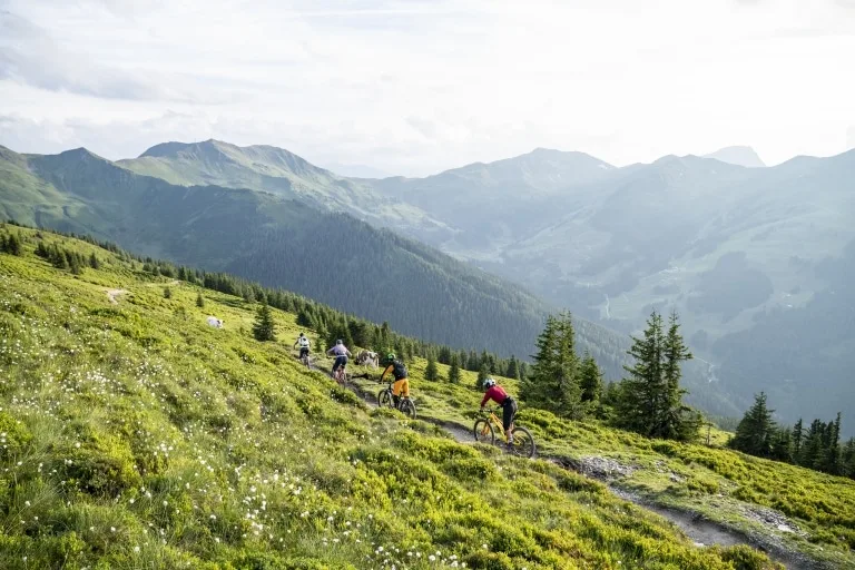 Biken in Saalbach Vier Mountainbiker fahren über einen Trail mitten durch die saftig grünen Almwiesen