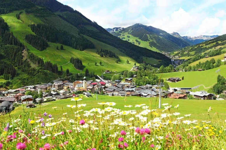 Saalbach im Sommer Ein Ausblick auf den Ort Saalbach mit einer bunten Blumenwiese im Vordergrund