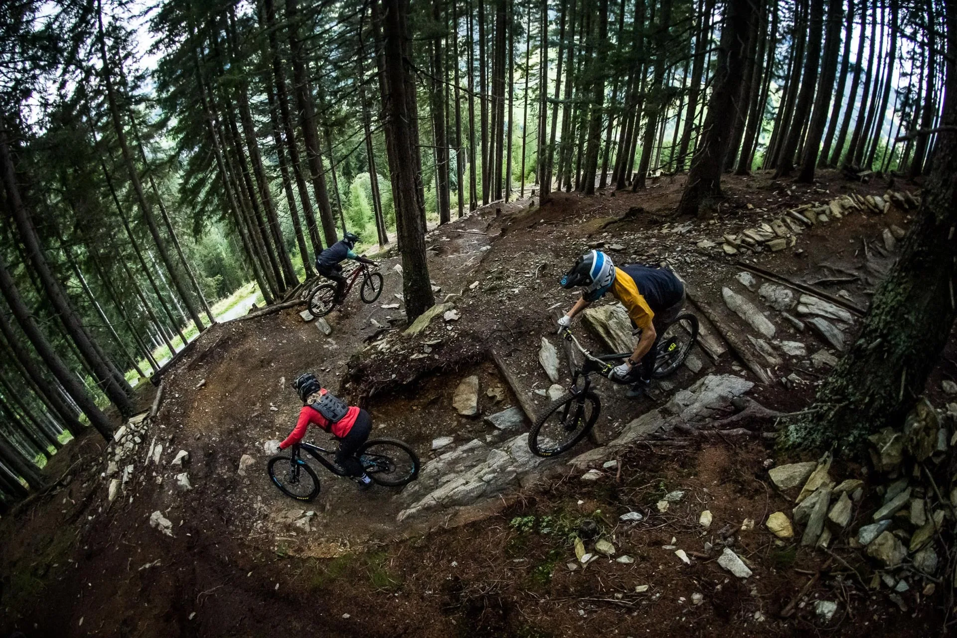 X-Line Saalbach Drei Mountainbiker fahren einen Trail im Wald bergab