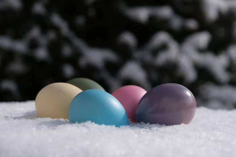 Bunte Ostereier im Schnee Bunte Ostereier im Schnee