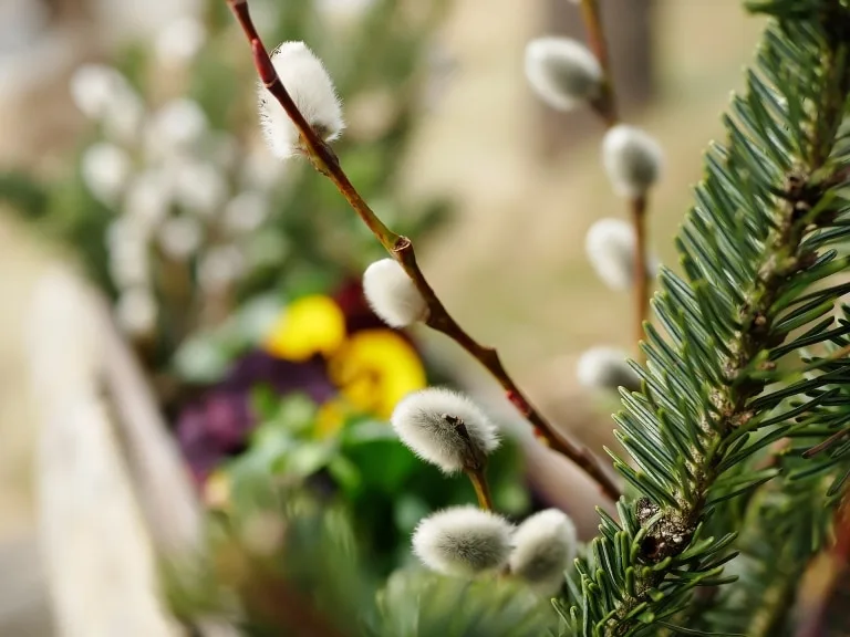 Palmbuschen zu Ostern Palmbuschen zu Ostern