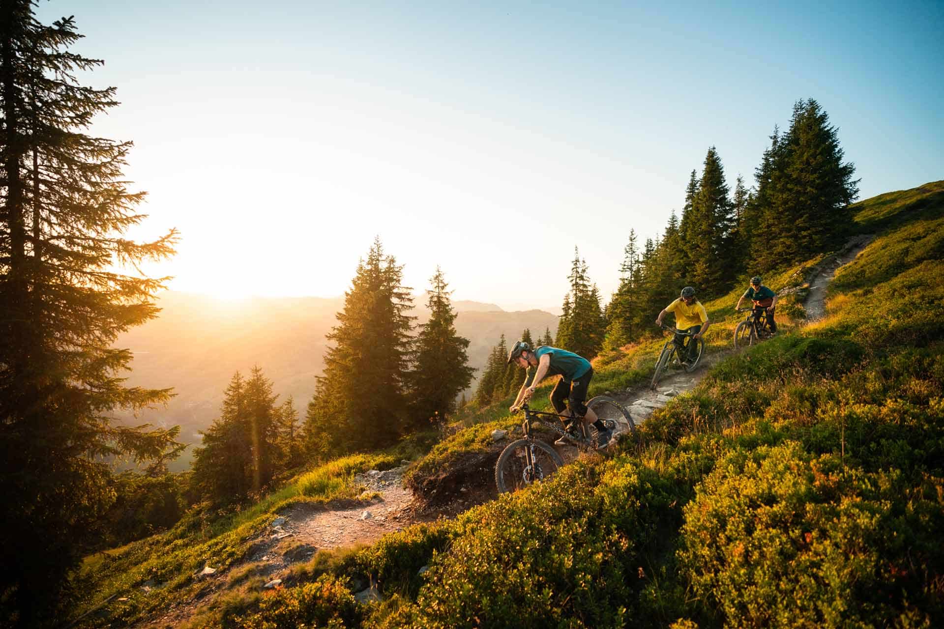 Drei Downhiller fahren den Trail hinunter bei schönstem Sonnenuntergang.