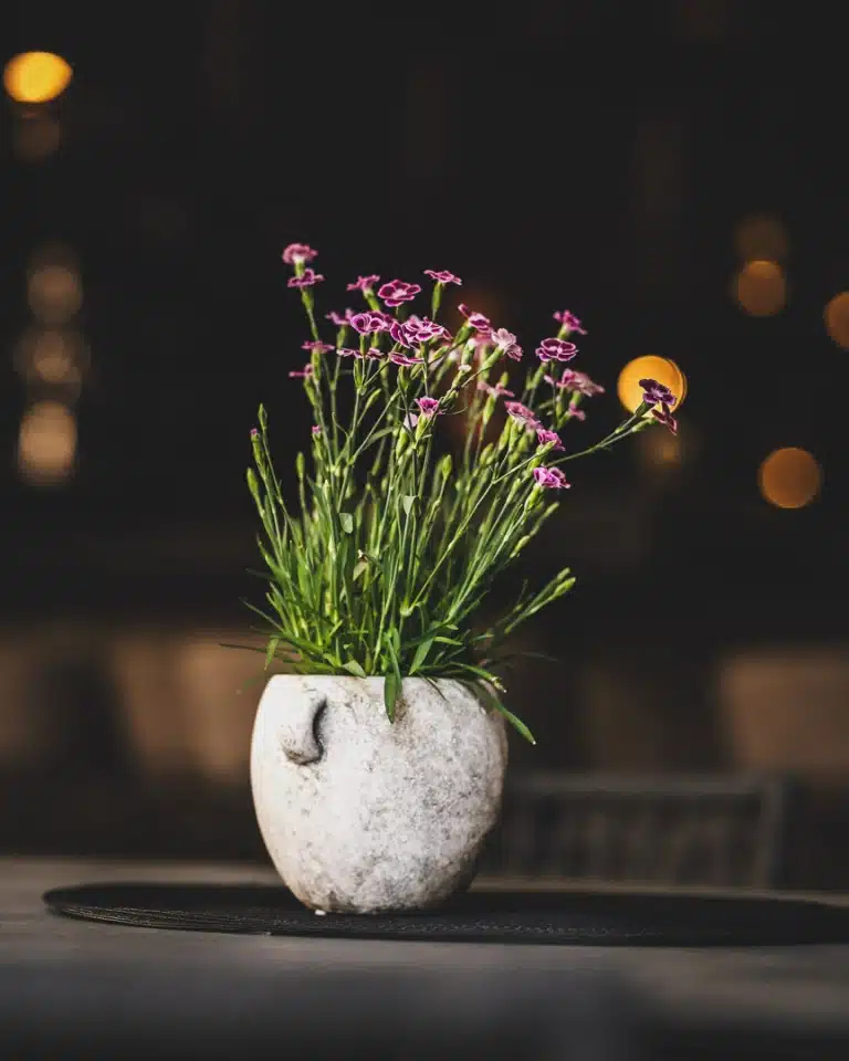 HOTEL HASENAUER Tonvase mit lila Blumen